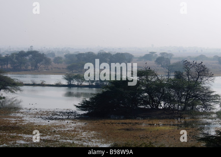 Ein Anblick der Feuchtgebiete in Indien sollte Vogelschutzgebiet Stockfoto