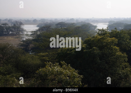 Ein Anblick der Feuchtgebiete in Indien sollte Vogelschutzgebiet Stockfoto