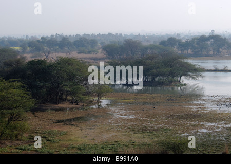 Ein Anblick der Feuchtgebiete in Indien sollte Vogelschutzgebiet Stockfoto