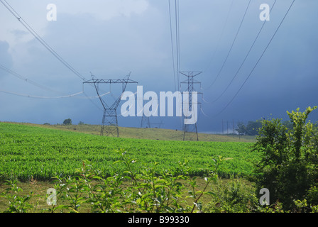 Elektrische Sendemasten isoliert gegen einen wunderschönen blauen Himmel.  Foto von Darrell Young. Stockfoto