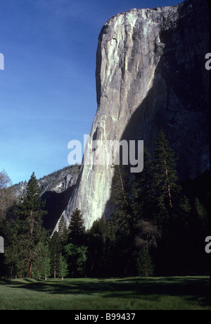 Licht des frühen Morgens auf die Dawn Wand El Capitan Yosemite Valley Yosemite Nationalpark Kalifornien USA Stockfoto