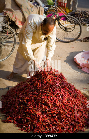 Mann verkauft rote Chili Paprika in einem Straßenmarkt Chandpole Basar, rosa Stadt Jaipur, Rajasthan, Indien Stockfoto