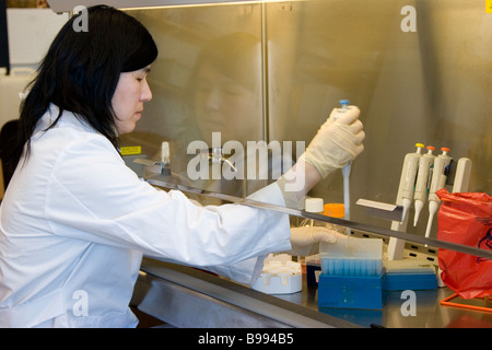 Asiatische Frau, weibliche arbeiten im Labor Stockfoto