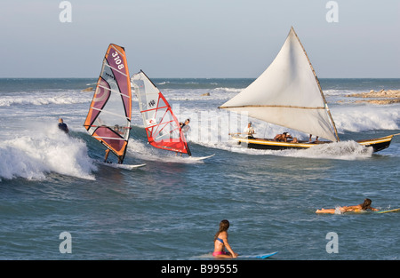 Alle Surfer Stockfoto