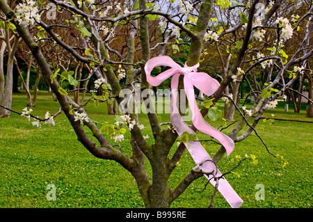 Tag des Baumes Bänder und grünen Rasen für bahnbrechende und Baumpflanzung Stockfoto