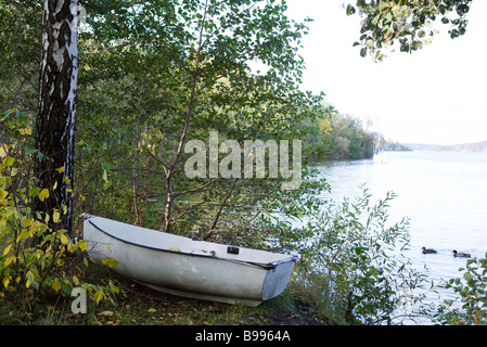 Ruderboot am Seeufer Stockfoto