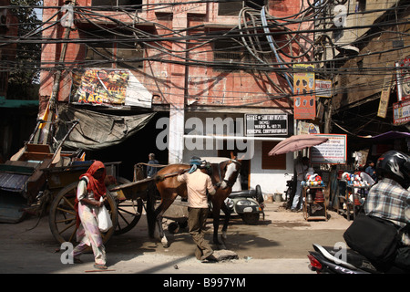 Ein Mann baut ein Pferdewagen auf der Straße in Alt-Delhi, Indien. Stockfoto