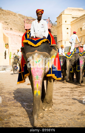 Mahout sitzt auf einem Elefanten, Amber Palast, Bernstein, in der Nähe von Jaipur, Rajasthan, Indien Stockfoto