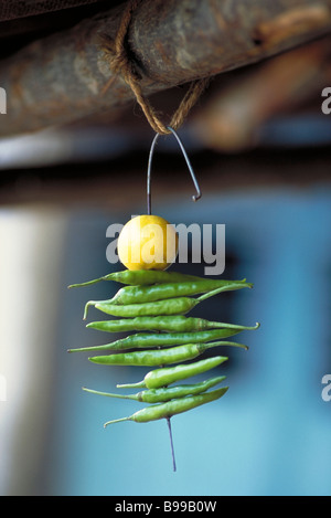 Indische Nimbu Mirchi Charme Stockfoto