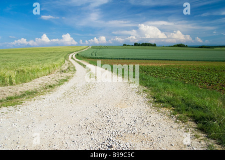 Feldweg durch eine wunderschöne Landschaft Stockfoto