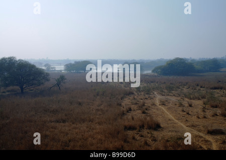 Ein Anblick der Feuchtgebiete in Indien sollte Vogelschutzgebiet Stockfoto