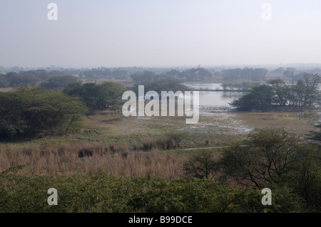 Ein Anblick der Feuchtgebiete in Indien sollte Vogelschutzgebiet Stockfoto