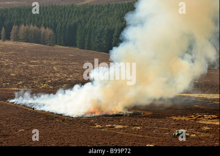 Kontrollierte Heather brennen in Angus Glens, Schottland Stockfoto