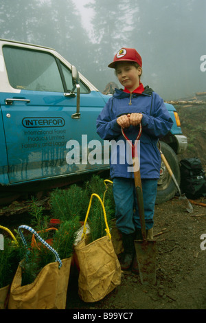 Als Junior Wald Warden Volunteer Pflanzen von Setzlingen auf Aufforstungsprojekt in Nadel-Wald in British Columbia Kanada Stockfoto