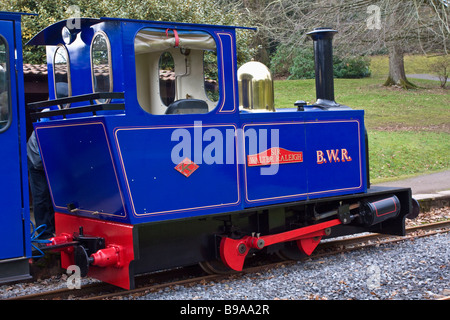 Bicton Woodland Railway Bicton Gardens East Devon Stockfoto