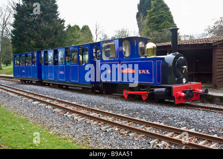 Bicton Woodland Railway Bicton Gardens East Devon Stockfoto