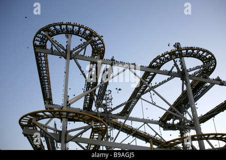 Vögel ruhen auf einer Achterbahn-Strecke in Brighton, England, 13. März 2007. Foto von Akira Suemori Stockfoto