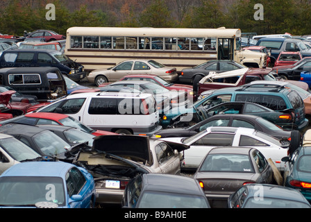 alte Busse in einem Schrottplatz Stockfoto