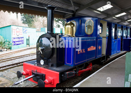 Bicton Woodland Railway Bicton Gardens East Devon Stockfoto