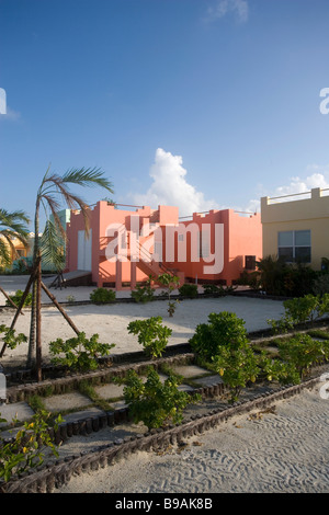 Buntes neue Gehäuse sitzt auf der Lagunenseite Ambergris Caye, Belize. Stockfoto