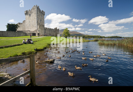 Ross Castle und Killarney See mit Enten. Touristen Picknick neben dem alten Schloss und die Stockente Enten im See zu sehen. Stockfoto