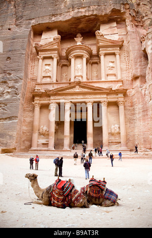 zwei Kamele vor der Schatzkammer, Petra Jordan Stockfoto