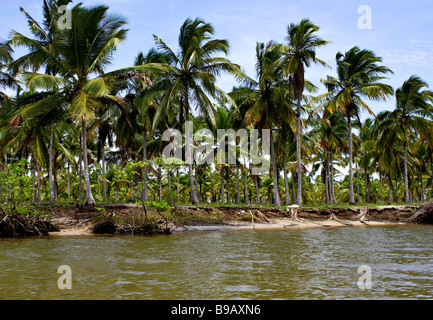 Flusslandschaft im südlich von Ilha Atalaia Canavieiras Bahia Brasilien Südamerika Stockfoto