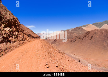 Reserva Provincial Las Vicuñas und Laguna Brava Stockfoto