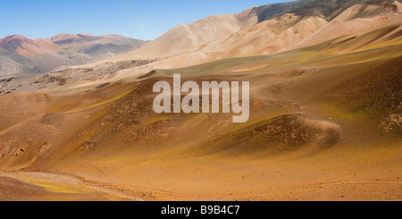 Reserva Provincial Las Vicuñas und Laguna Brava Stockfoto