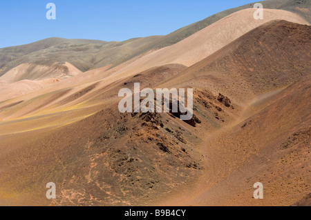 Reserva Provincial Las Vicuñas und Laguna Brava Stockfoto