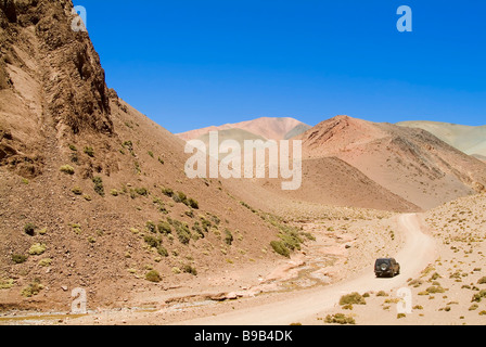 Reserva Provincial Las Vicuñas und Laguna Brava Stockfoto