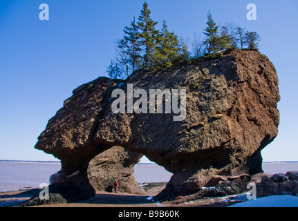 Hopewell Rocks - Bay Of Fundy, New Brunswick, Kanada Stockfoto