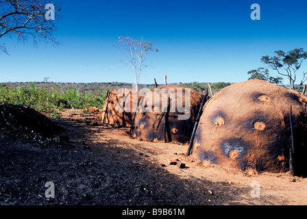 Kohle-Produktion Bauernhof, Montes Claros, Minas Gerais, Brasilien Stockfoto