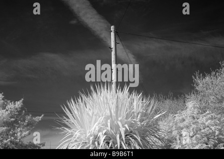 Einen 'Telegrafenmast"erschossen in Infrarot-gegen ein dunkler Himmel, Norfolk"Great Britain" Stockfoto
