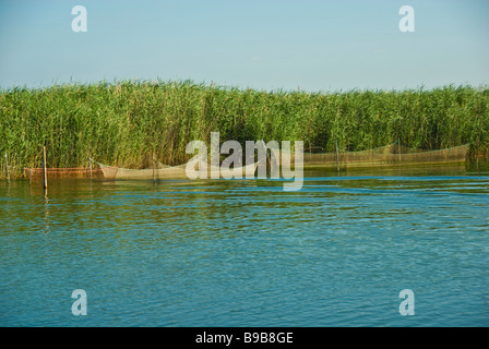Fischernetze am Bodensee in der Nähe von Fussach, Österreich | Fischernetze Vor Schilf Bodensee Stockfoto