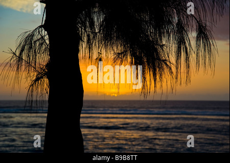 Sonnenuntergang Strand mit Kiefer im Vordergrund Saint Gilles La Réunion Frankreich | Raummotive bin Strand von Saint-Gilles in La Réúnion Stockfoto
