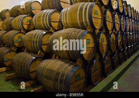 Rum Barrel an Savanne Brennerei und Zucker Fabrik La Réunion Frankreich | Rum Fässer in der Savanne Brennerei, La Reunion Stockfoto