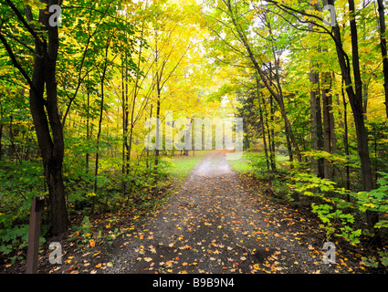 Ein Spaziergang durch Fairbanks Provincial Park in der Nähe von Sudbury, Ontario, im Herbst Stockfoto