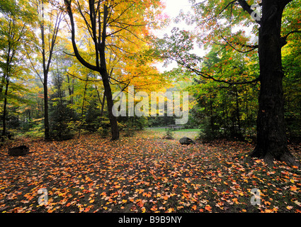 Ein Spaziergang durch Fairbanks Provincial Park in der Nähe von Sudbury, Ontario, im Herbst Stockfoto