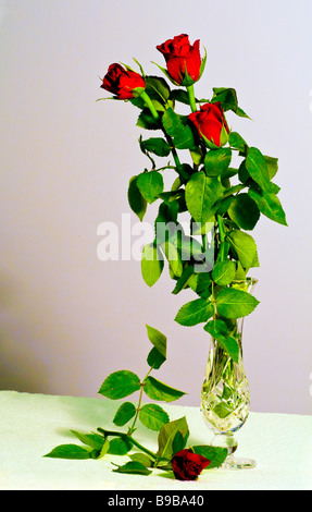 Drei rote Rosen in einer Glasvase Stockfoto