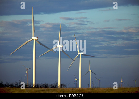 Am frühen Morgen an der Stromerzeugung an Horse Hollow Wind Farm Nolan county Texas Windenergieanlagen Stockfoto