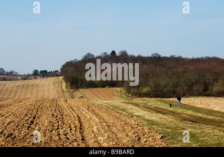 Ackerland in Kent. Stockfoto