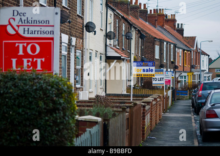 Eine Reihe von für Verkauf und Vermietung Zeichen in Beverley, East Yorkshire Stockfoto