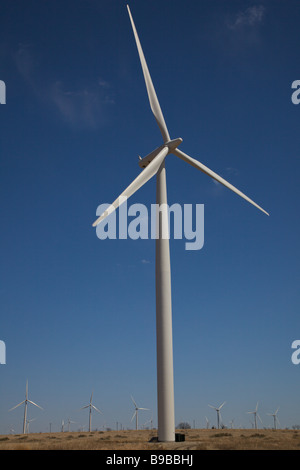 Windkraftanlagen Sie zur Stromerzeugung an Horse Hollow Wind Farm Nolan county Texas der weltgrößten Stockfoto