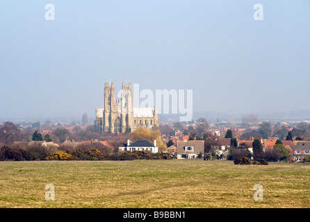 Beverley Minster, "Ost-Reiten" Yorkshire, England, "Great Britain" Stockfoto