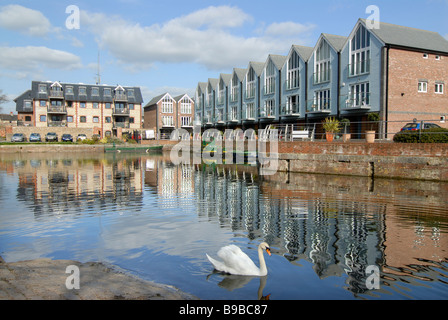 Chichester Kanal-Becken Stockfoto