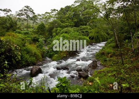 Ein Fluss, der durch den Regenwald rund um Lake Arenal, Costa Rica. Stockfoto