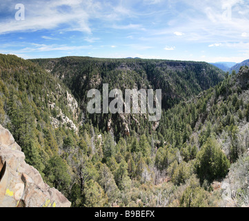 Weitwinkel genähte Bild von Oak Creek übersehen in der Nähe von Flagstaff, Arizona Stockfoto