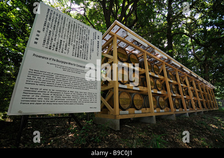 Fässer von Bourgogne französischer Wein, um am Meiji-Jingu-Shinto-Schrein geweiht werden. Yoyogi-Park. Shibuya. Tokyo. Japan. Stockfoto