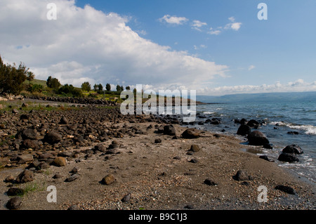 Tabgha Küste am westlichen Ufer des See Genezareth, auch Kinneret oder See Tiberias ein großer Süßwassersee in Israel Stockfoto